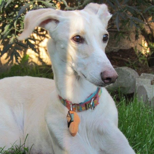 Jack Oakes / Lake (January 2015)